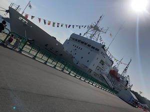 IMG_0177.jpg