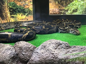 20190727_IMG_9787.jpg