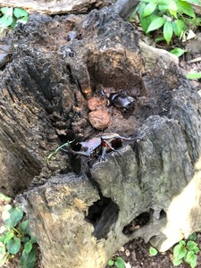20190727_IMG_9826.jpg